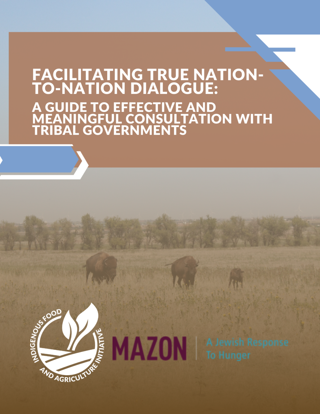 Nation Guide Examples Indian Country’s Guide to Facilitating Nation-to-Nation Dialogue ...