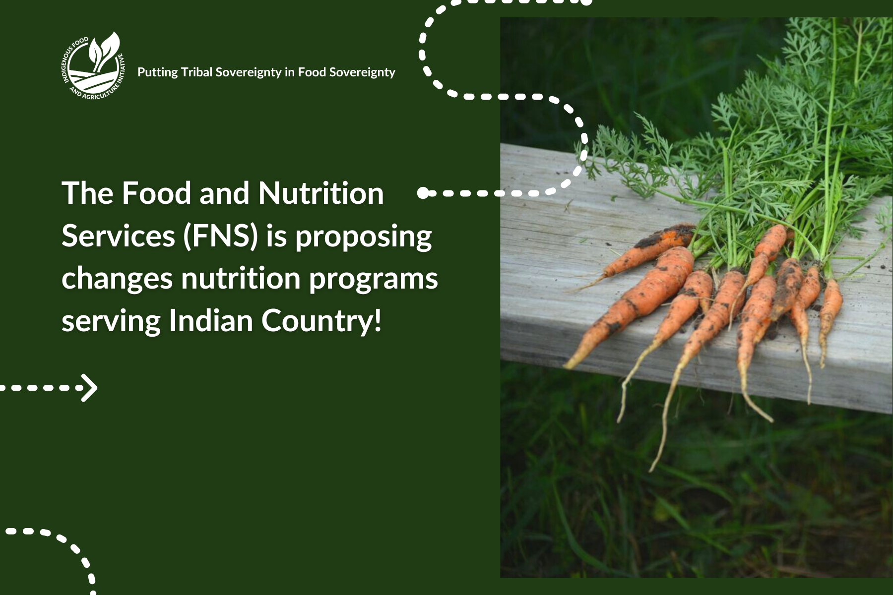 Food and Nutrition Service Proposed Changes Impacting Tribes and Tribal ...