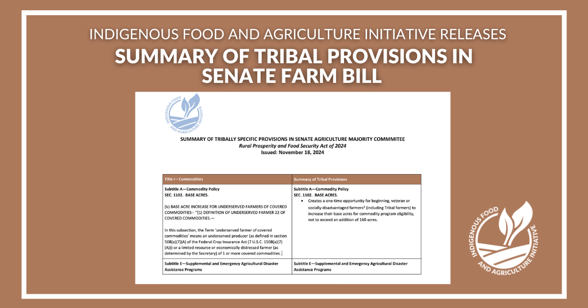 Carly Griffith Hotvedt accepts role as Indigenous Food and Agriculture Initiative’s executive director-9