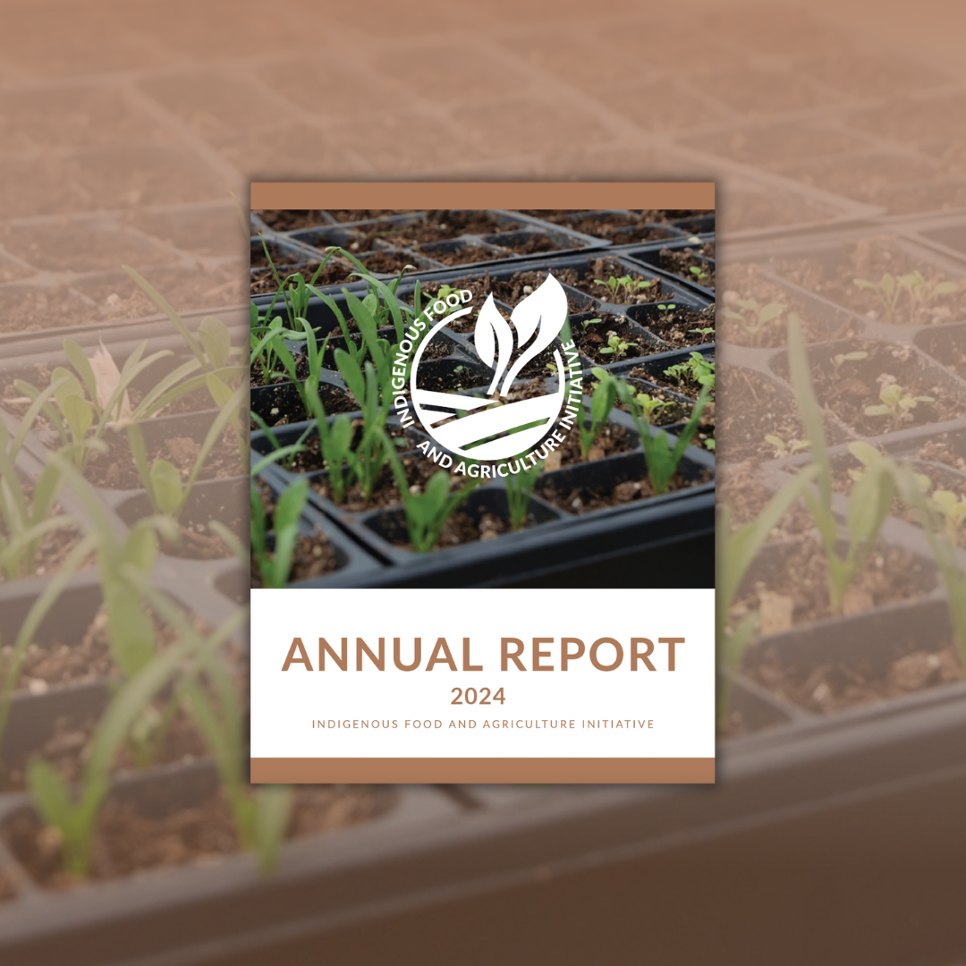 DOWNLOAD IFAI’S ANNUAL REPORT TODAY!