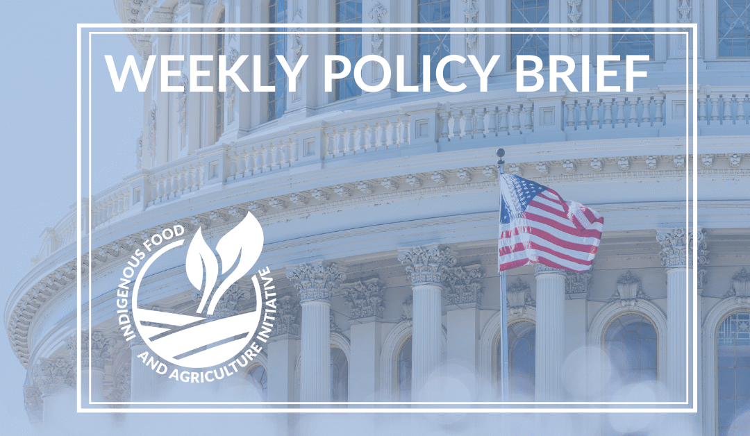 Policy Brief- September 9, 2025