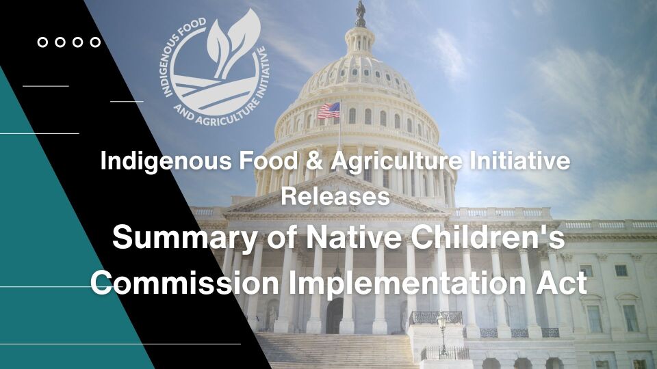 Comments requested by Sept. 15 on Native Children’s Commission Implementation Act
