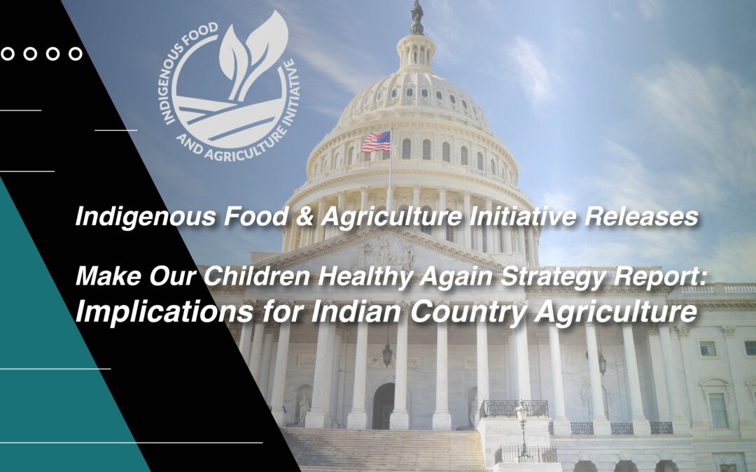 Make Our Children Healthy Again Strategy Report: Implications for Indian Country Agriculture