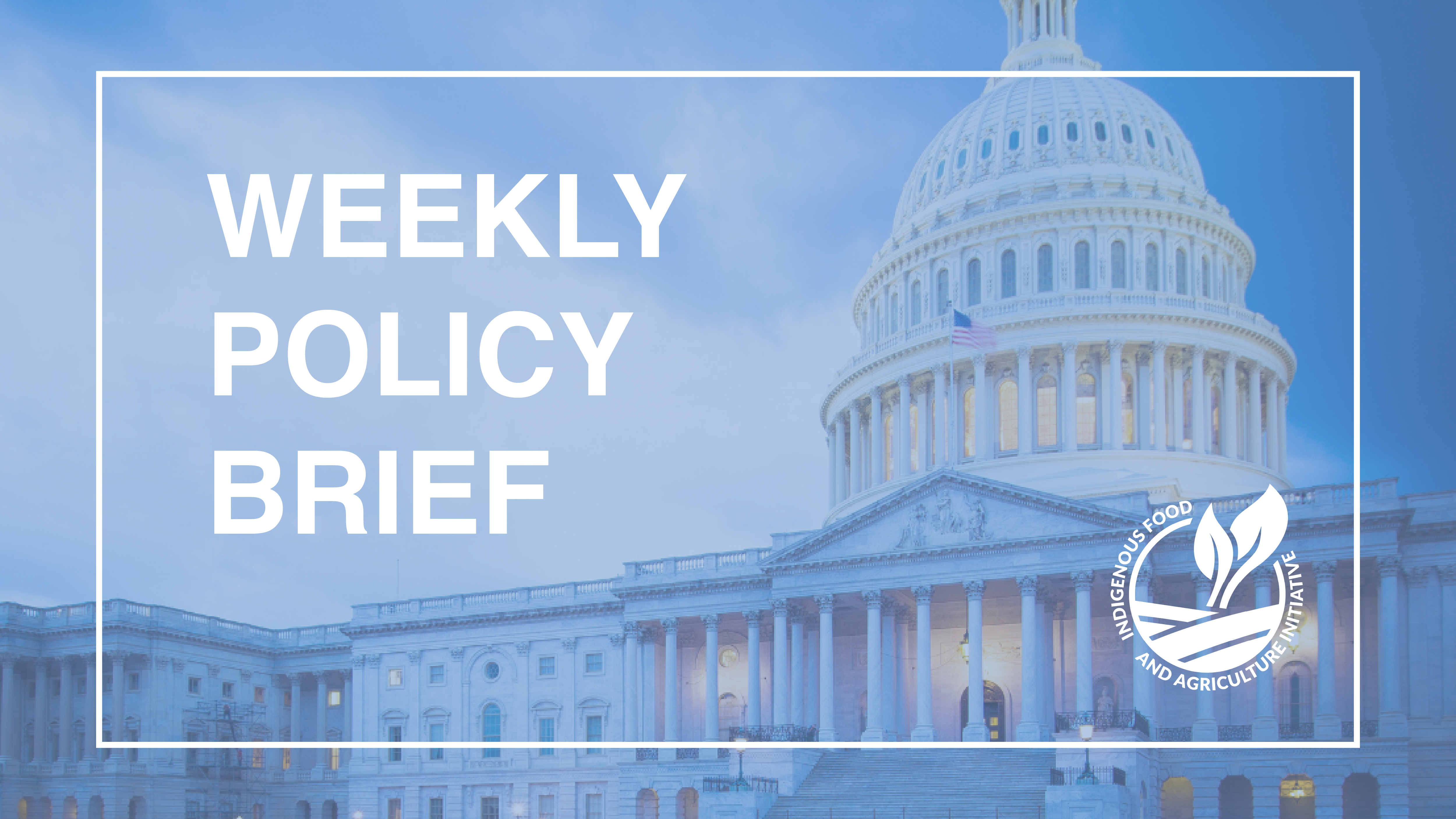 Policy Brief- October 21