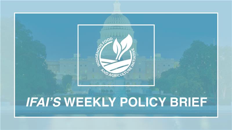 Policy Brief- October 7, 2025