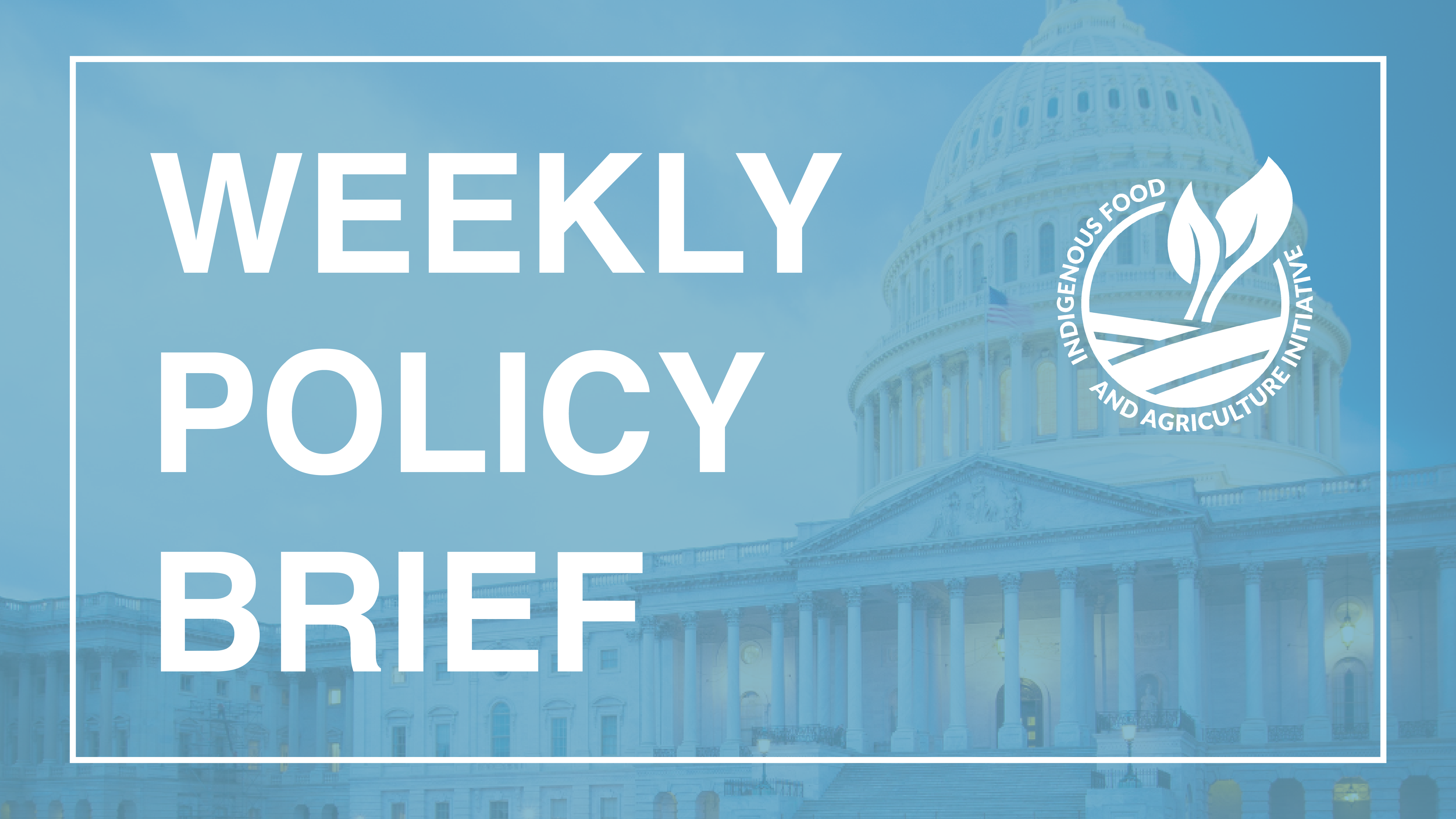 Policy Brief-November 18