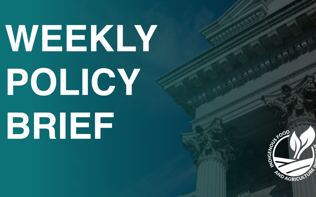 Policy Brief-January 13