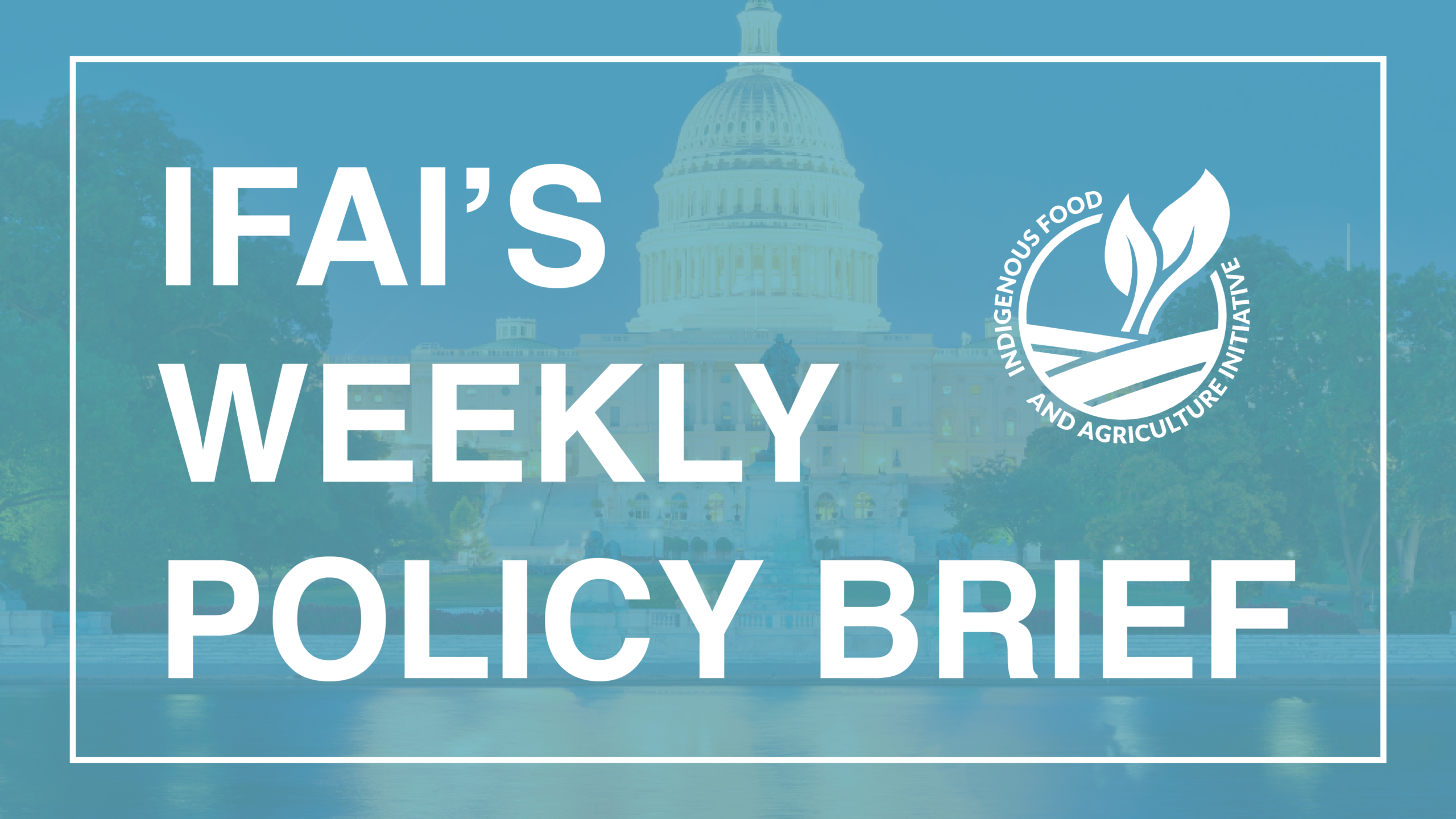 Policy Brief-February 3