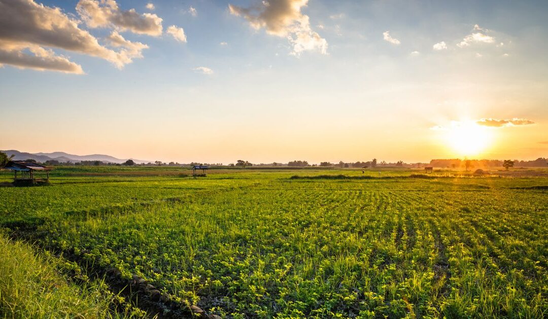 House Agriculture Committee Advances Farm Bill