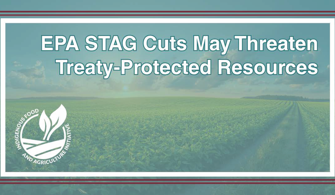 EPA STAG Cuts May Threaten Treaty-Protected Resources