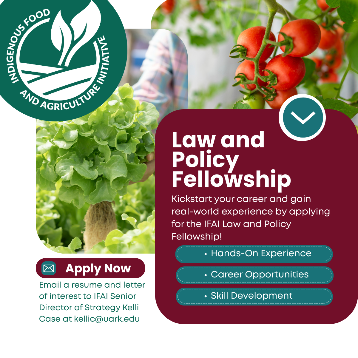 Law and Policy Fellowship Apply Now