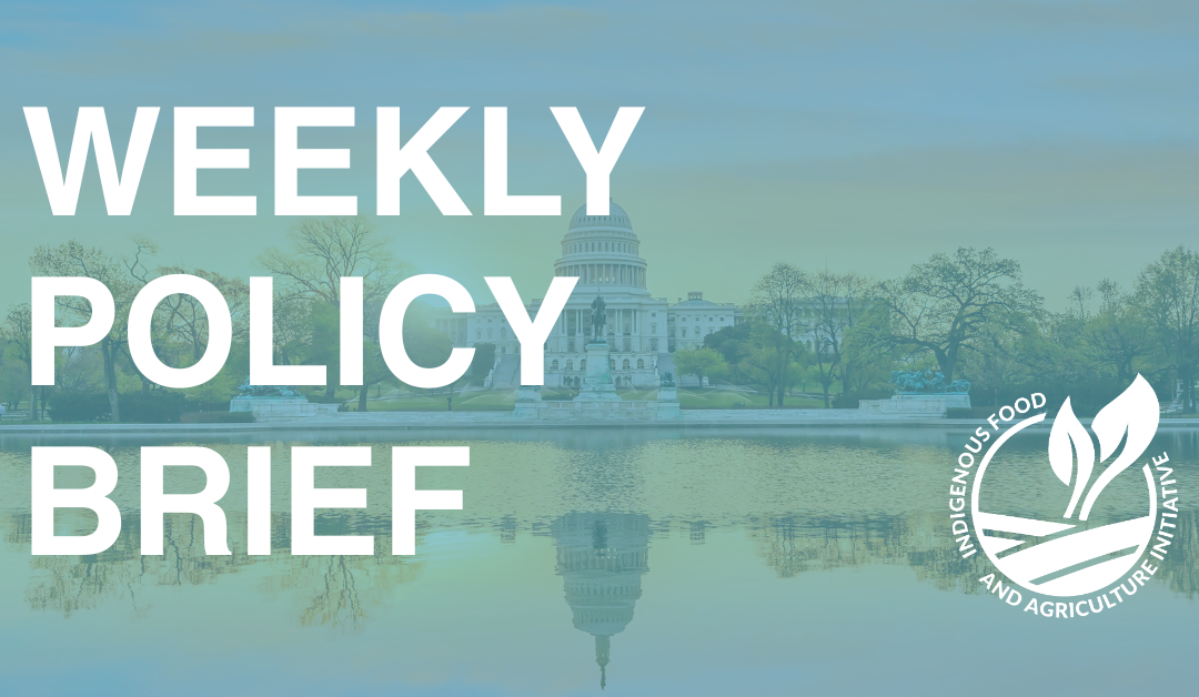 Policy Brief- May 19
