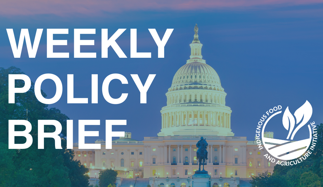 Policy Brief- May 12