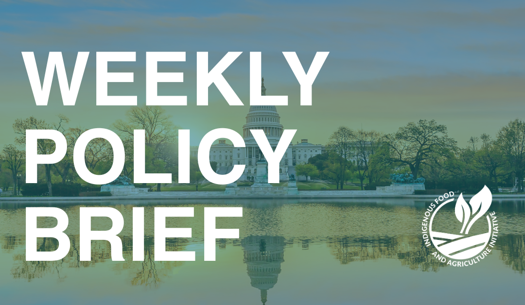 Policy Brief- June 22