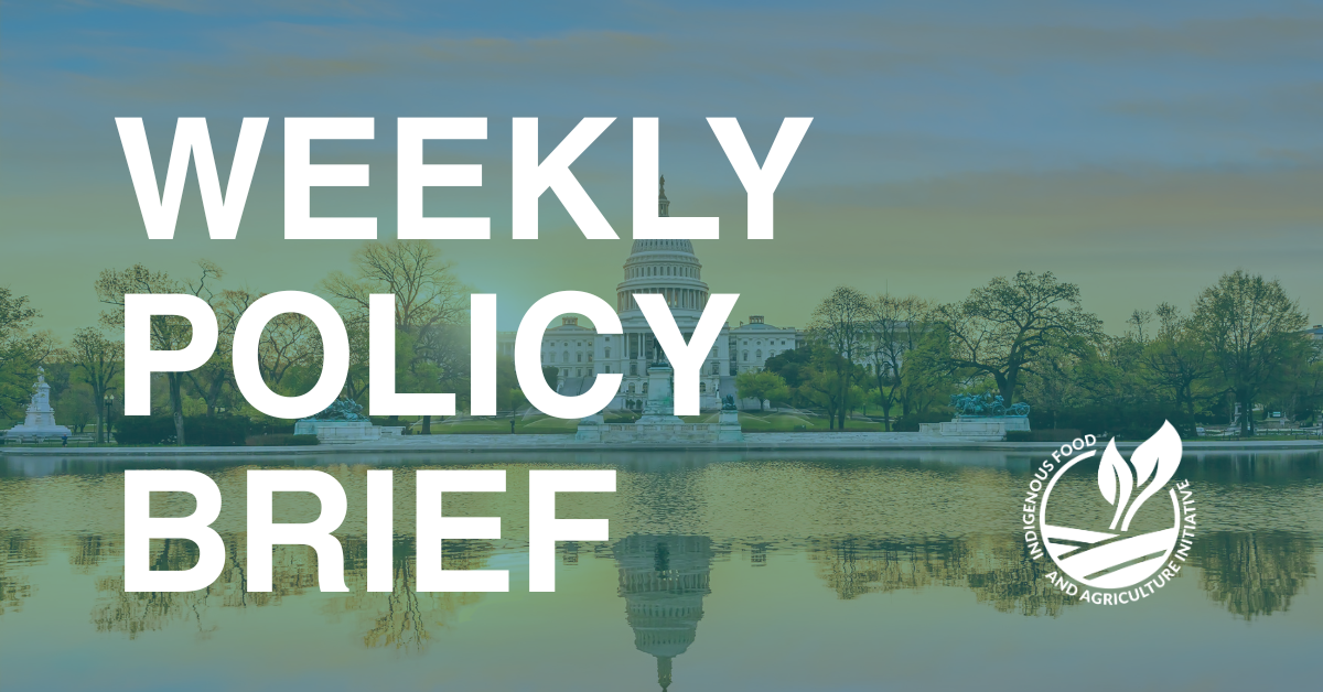 Weekly Policy Brief