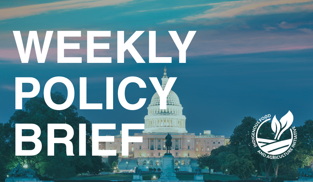 Policy Brief- June 30