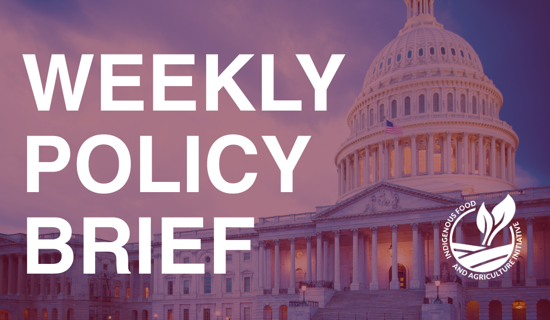 Policy Brief- June 2