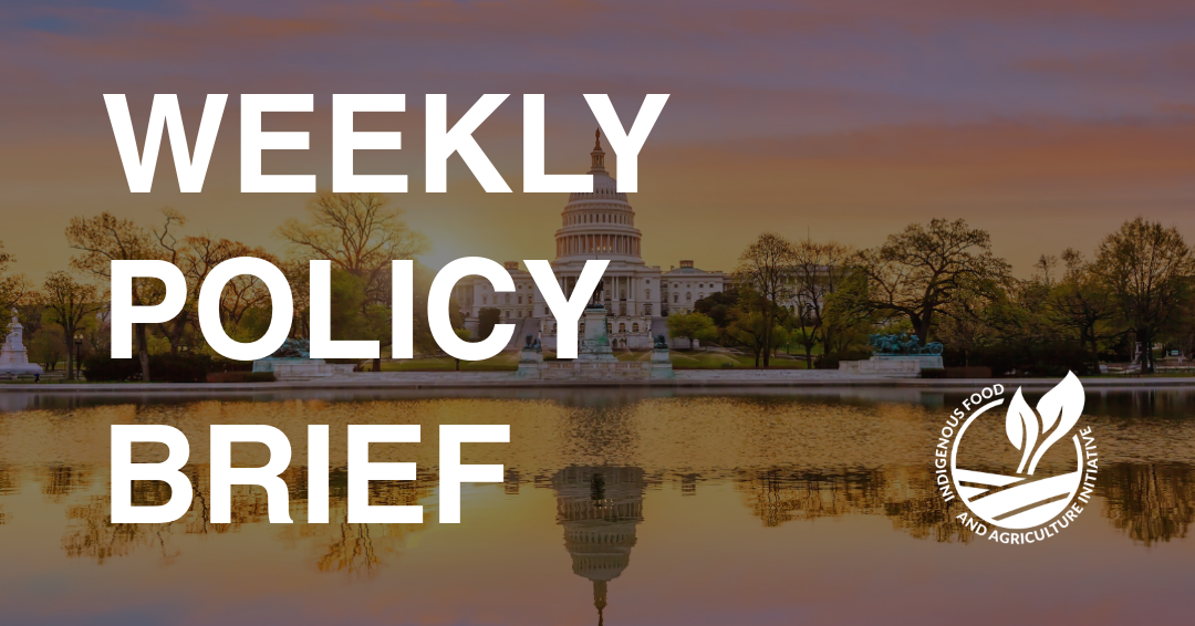 Policy Brief- July 7