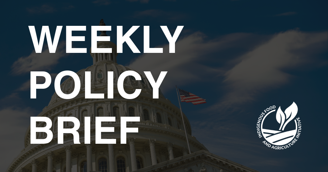 Policy Brief- July 20