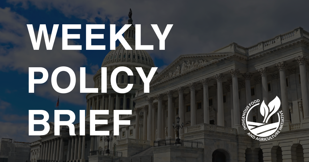 Policy Brief- July 27