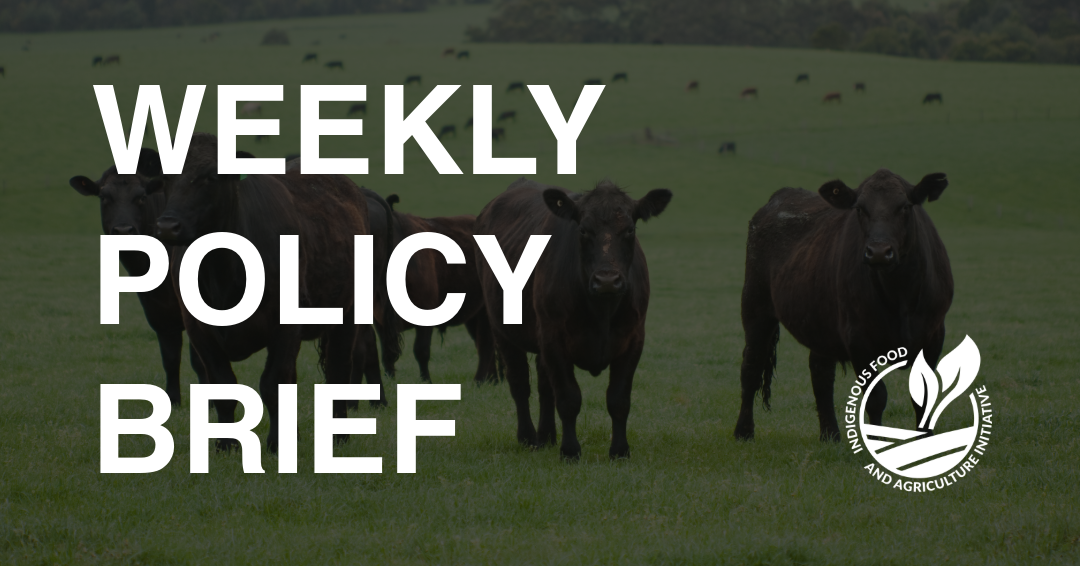 Policy Brief- August 31