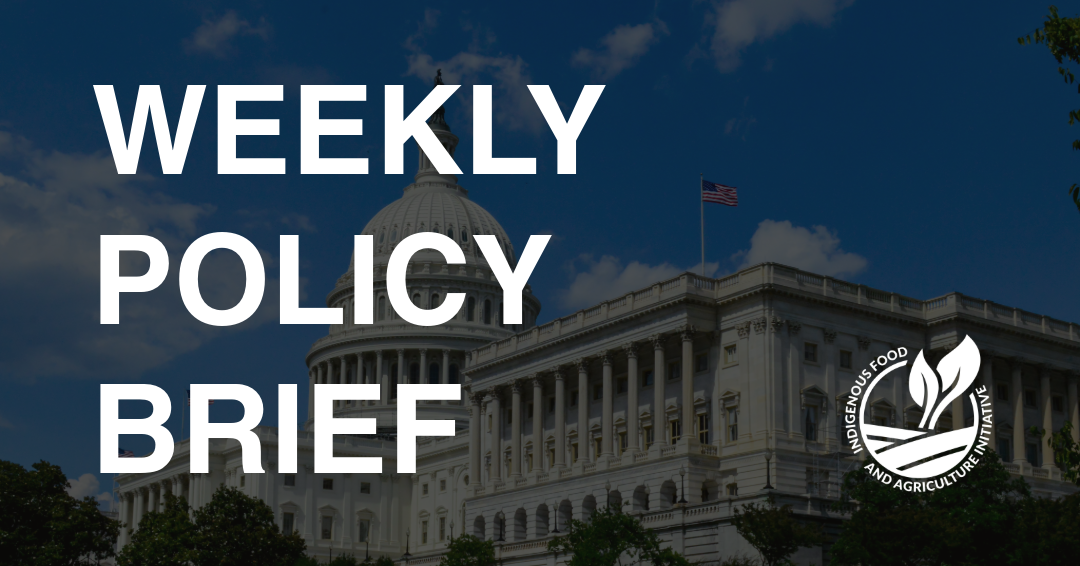 Policy Brief- August 3