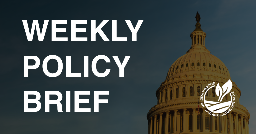 Policy Brief- August 10
