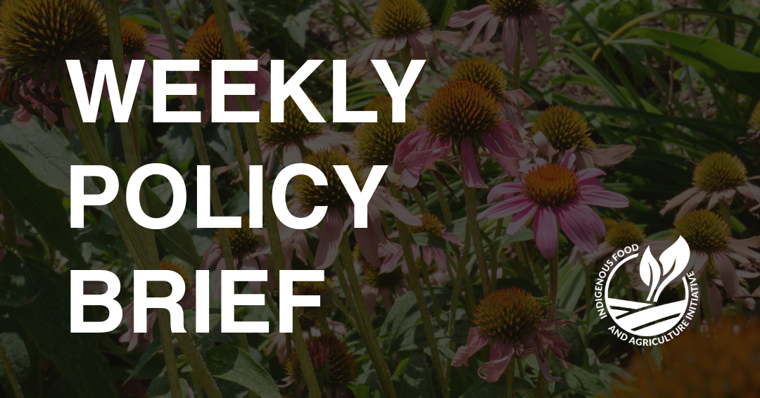 Policy Brief- August 24
