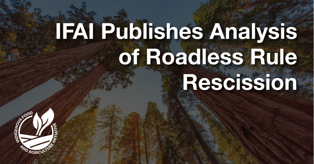 IFAI Analyzes Roadless Rule Rescission