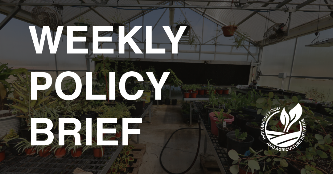 Policy Brief- September 8