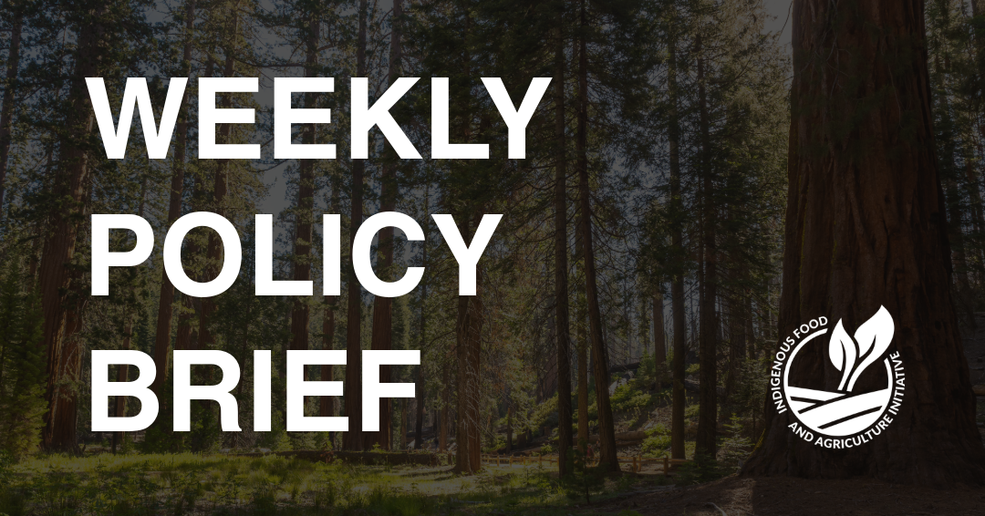 Policy Brief- September 15