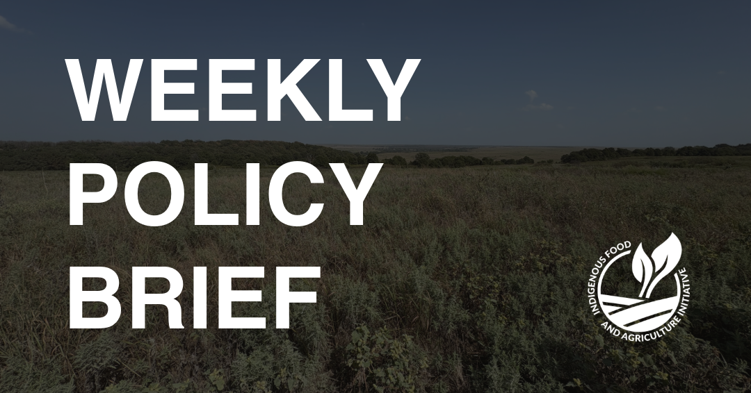 Policy Brief- September 21