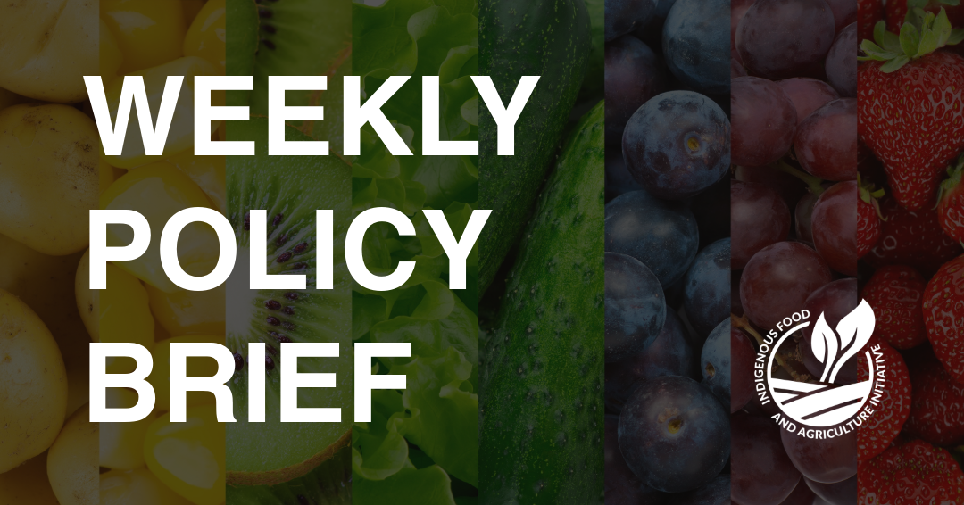 Policy Brief- September 28