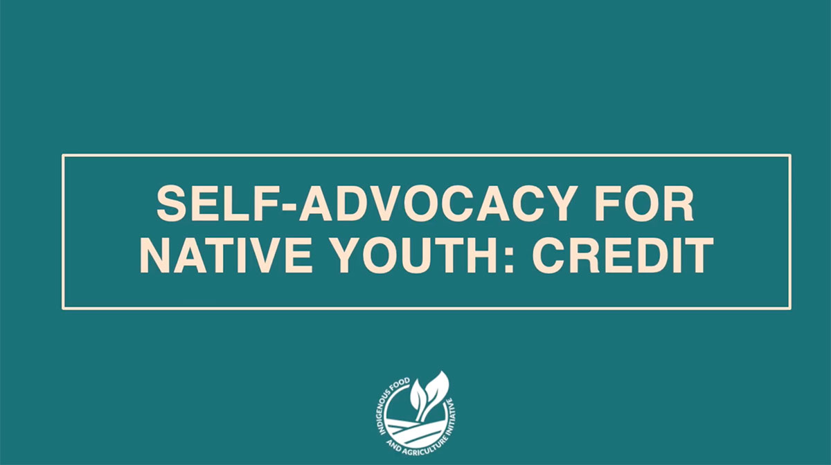 Part One- Credit: IFAI x NAAF Youth Credit and Loan Self-Advocacy Guide