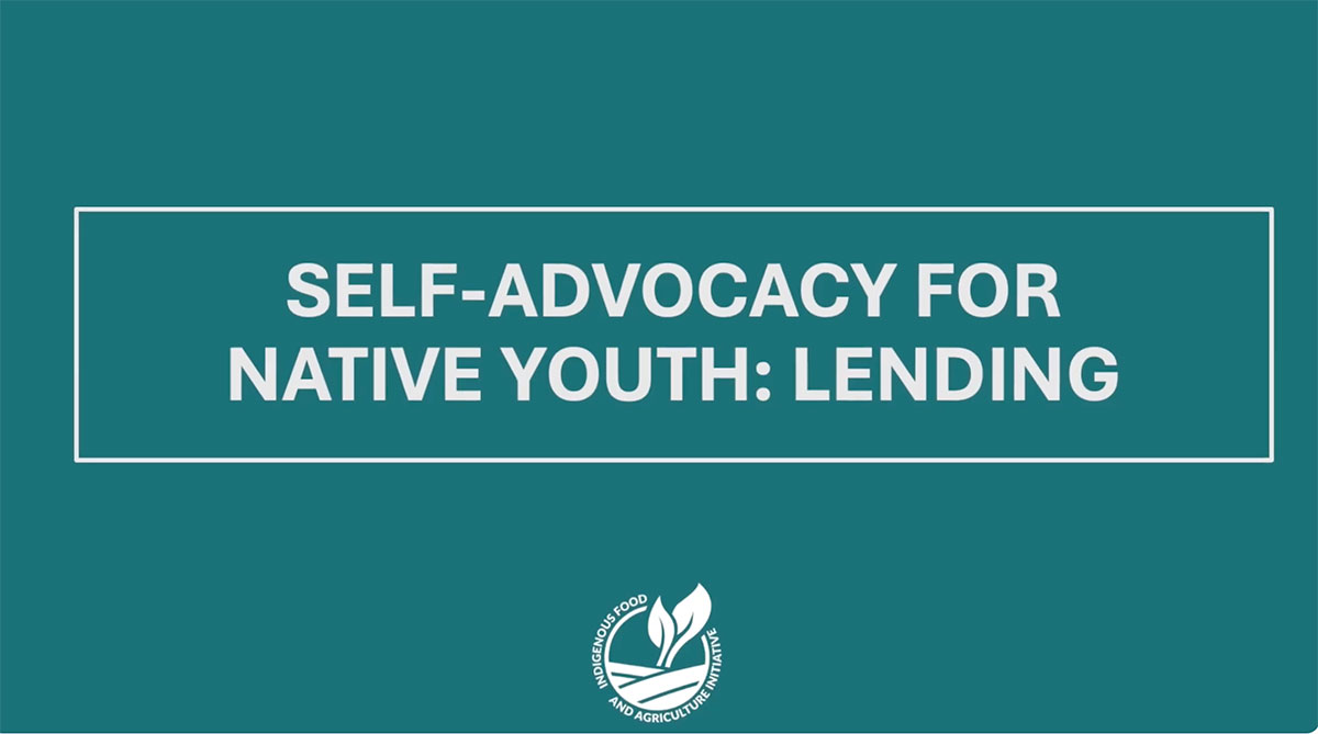 Part Two- Lending: IFAI x NAAF Youth Credit and Loan Self-Advocacy Guide