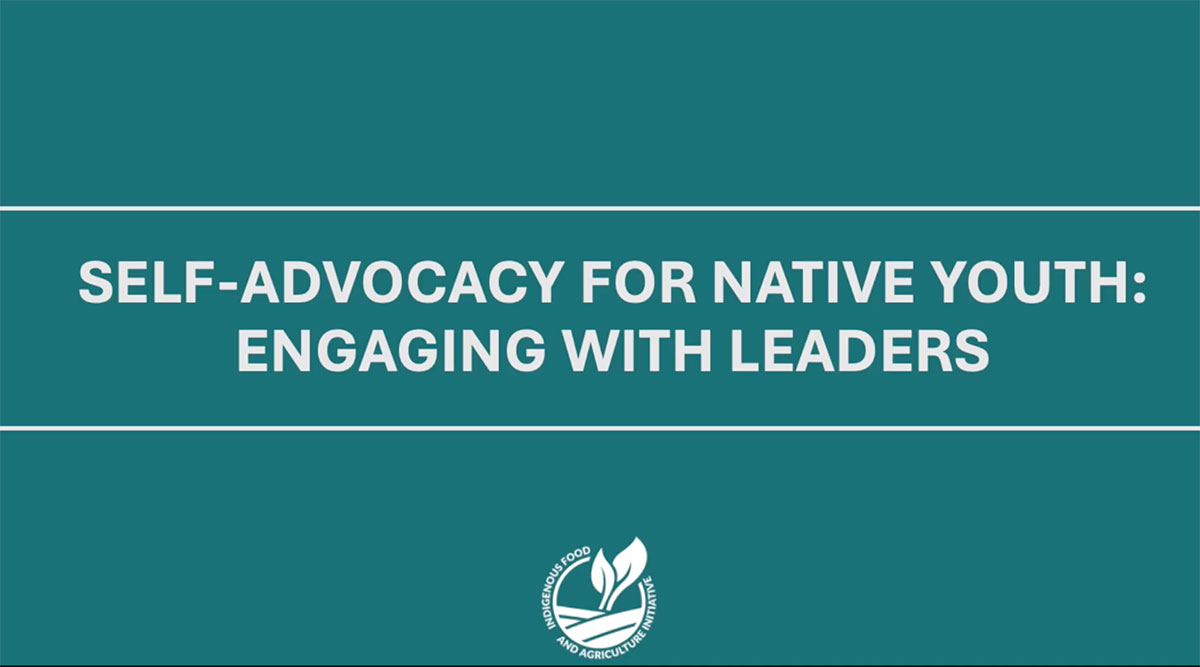 Part Four- Engaging With Leaders: IFAI x NAAF Youth Credit and Loan Self-Advocacy Guide
