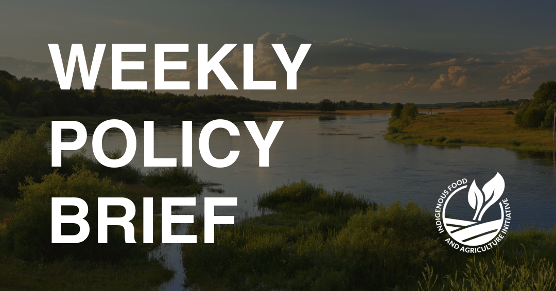 Policy Brief- October 5