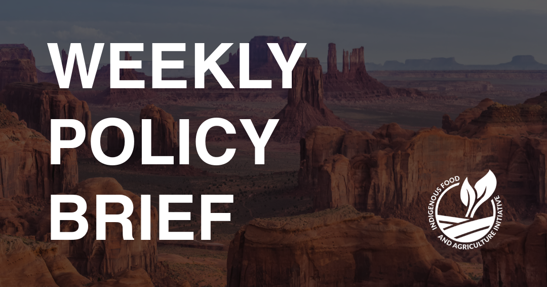 Policy Brief- October 26